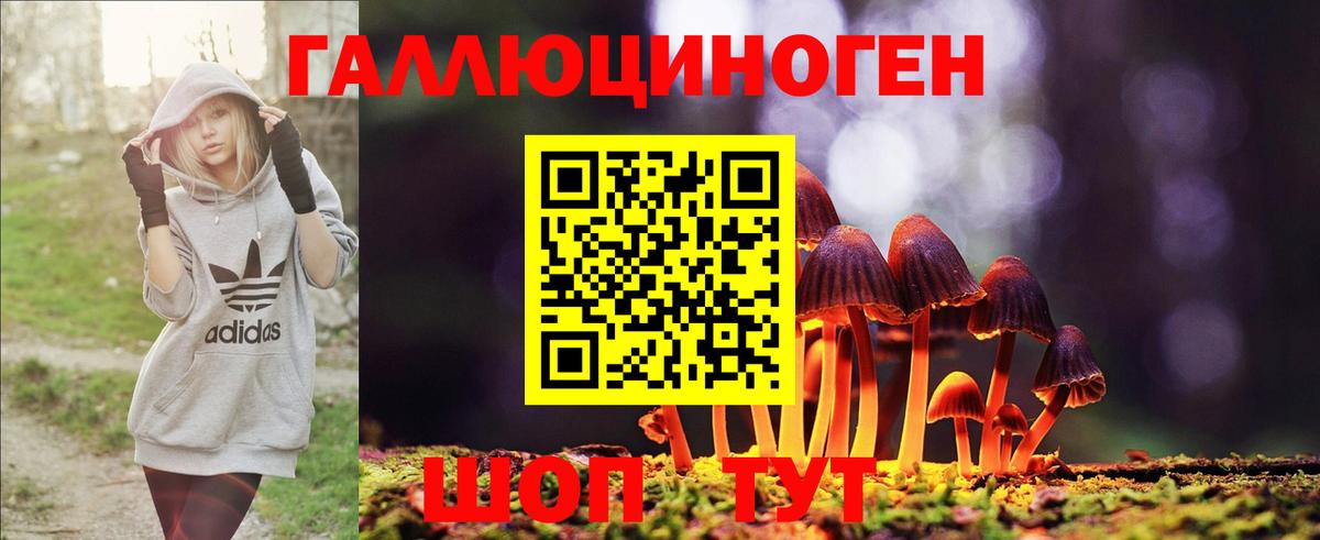Псилоцибиновые грибы Magic Shrooms  Галлюциногенные грибы Cubensis  купить наркотики сайты  Карачаевск  Вход с VPN 